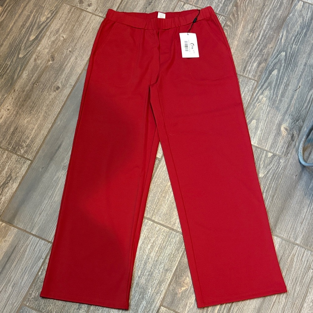 Zyia Scarlet Presidio Peak Pants